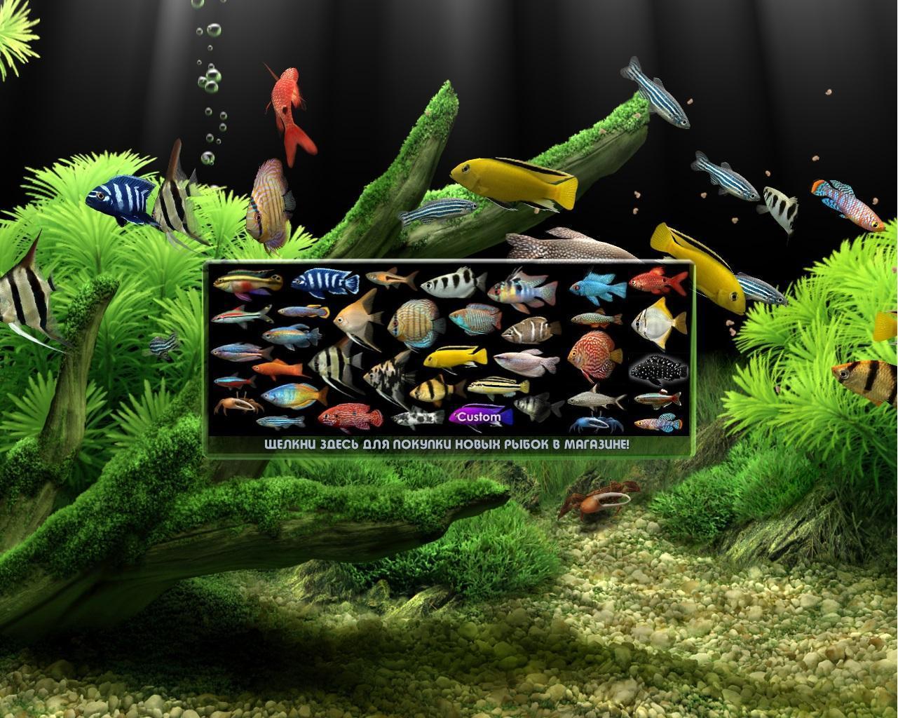 Dream Aquarium Screensaver 1.27 Final (2013/ML+RUS
